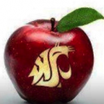 Applecup