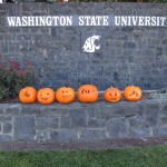 WSU Halloween